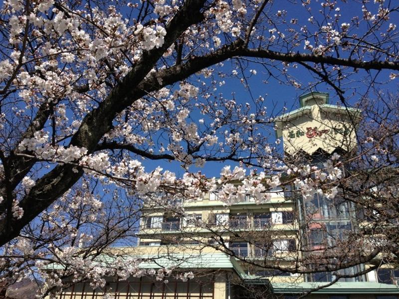 Isawa View Hotel Fuefuki Kültér fotó